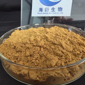 천연 당귀 뿌리 추출물 분말 0.05% 페룰산 항산화 에너지 증진 성인용 맞춤형 해양 - Product Image 4