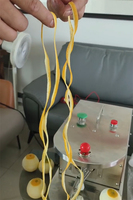 Kleine fruitenschiller, mini commerciële citrusenschiller, elektrische fruitenschilmachine voor sinaasappels en citroenen