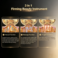 Appareil de luminothérapie rouge portatif pour le visage, masseur facial, drainage lymphatique, équipement de beauté à domicile, anti-âge, lifting du visage, soin de la peau