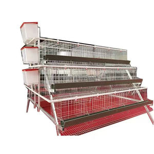 Sistema Avanzado de Diseño Tipo H para Cría y Alimentación Automática de Pollos de Engorde, Jaula Comercial de Gran Capacidad para Aves de Corral - Product Image 5