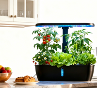 Jardin hydroponique d'intérieur pour herbes aromatiques, lampe de culture automatique 24W, pompe à eau à circulation 15 trous, kit de culture de légumes détachable pour la maison