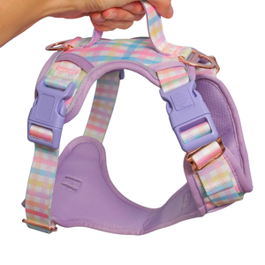 Arnés para Perro Transpirable y Personalizable, Arnés Resistente para Mascotas con Cierre <span class=keywords><strong>de</strong></span> Presión y Ribete Reflectante para <span class=keywords><strong>Seguridad</strong></span> Nocturna - Product Image 2