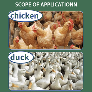 Antibiótico en Polvo para Aves de Corral, Vacas y Cerdos, Estilo Seco, Acelera el Crecimiento de las Aves y Mejora la Salud Respiratoria - Product Image 4