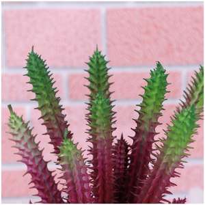 Planta Artificial de PVC, Bonita, Casi Natural, Ecológica, de Alta Calidad, Ramo de Decoración Navideña China, Miniatura para el Hogar - Product Image 3