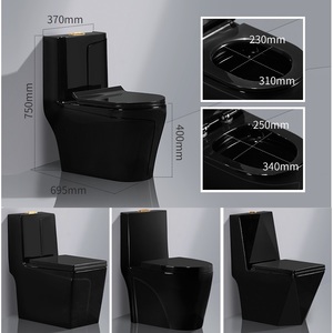 Inodoro de una pieza para niña china, Wc de Color negro - Product Image 5