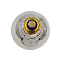 Ampoule chauffante infrarouge à bulles réfléchissante 230w 250w pour animaux, porcelets/poulets de chair/moutons/poulets/oiseaux R40 R125