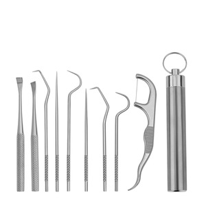 Stainless Steel Toothpick <b>Set</b> Portable Dental Cleaning <b>Tools</b> Oral Care Kit With Case For Teeth Cleaning - Product Image 1