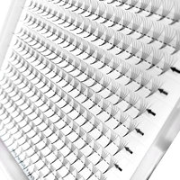 Extensions de cils synthétiques en gros - Plateaux de cils pré-faits en éventail 3D-14D, volume épais, grands éventails, grappes individuelles