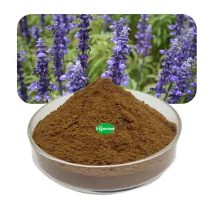 Metalli pesanti liberi Salvia organica in polvere 10:1 Salvia officinalis estratto per alimenti