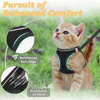 Ensemble Harnais et Laisse Réfléchissant en Nylon Respirant pour Chat, Écologique, Anti-Évasion, Réglable, Vente en Gros