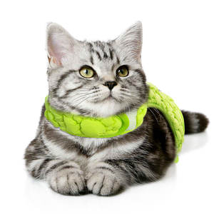 <strong>Dog</strong> Collar and Leash Set with Adjustable Floral Collar Metal Buckle and Tag Decor for <strong>Dogs</strong> Cloth - Product Image 6