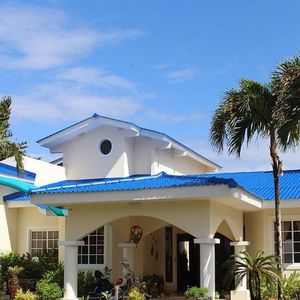 Измеритель материалов с покрытием от поставщика <span class=keywords><strong>Sarking</strong></span>, наклонная крыша для жилых помещений, сборная крыша, садовая хижина с пластиковым покрытием, полимерная черепица для крыши - Product Image 4