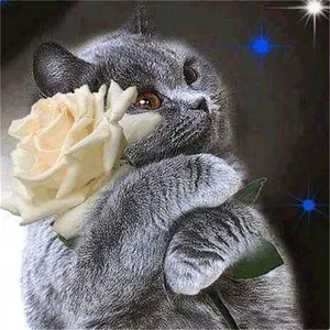 牡丹の花ダイヤモンド絵画ペルシャ猫フルドリル5Dダイヤモンドアート絵画刺Embroidery手作りギフトルームの装飾