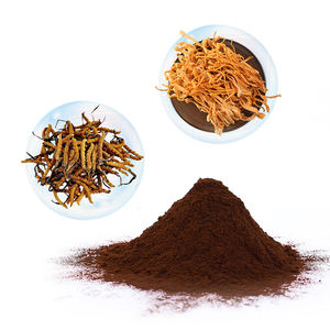Suplemento Herbal <span class=keywords><strong>Bulk</strong></span> <span class=keywords><strong>Cordyceps</strong></span> <span class=keywords><strong>Militaris</strong></span> Mycelium Em Pó Comida UV Wuling Extrato De Cogumelo De Leões Juba Álcool Etanol e Água - Product Image 6