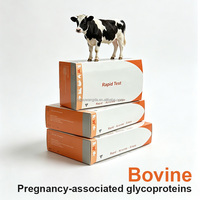 Kit de test de grossesse bovine rapide PAG en une étape, kit de détection de grossesse du bétail à l'or colloïdal, utilisation vétérinaire pour les vaches laitières et les bovins de boucherie