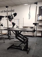 Table de toilettage pour chiens professionnelle, robuste, en acier inoxydable, équipement de toilettage pour animaux de compagnie hydraulique