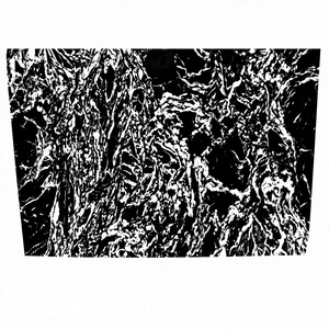 Dalles et comptoirs en granit de la forêt noire Choix élégant pour les monuments et les pierres tombales par Vinayak Exports - Product Image 1