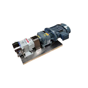 Bomba de rotor de leva de acero inoxidable de alta viscosidad con caudal de 100 L/H para transferencia de salsa, leche en polvo, productos químicos, miel y jarabe - Product Image 2