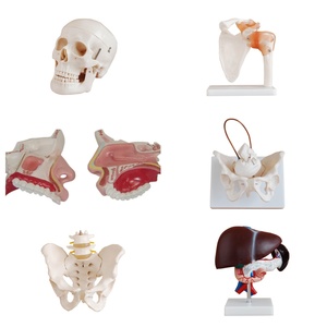 Arme automatique du modèle automatique, 9 pièces - Product Image 3