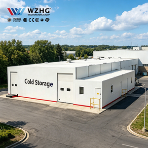 Refrigerated Storage Facility Large Scale Q355b Steel Structure Engineering Solution Extra High Food Processor - Product Image 1