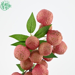 Branche de litchi artificielle de 57 cm, faite à la main, magnifique et émouvante, pour arrangement floral, décoration de fenêtre de salon, Nouvel An - Product Image 1