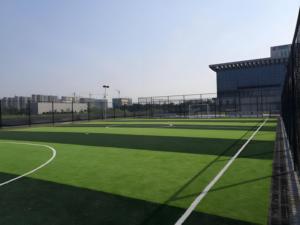 <span class=keywords><strong>Gazon</strong></span> artificiel pour sports de plein air/intérieur, terrain de sport, football, basketball, futsal, tennis - Matériel durable et écologique en PP+PE - Product Image 2