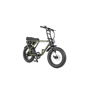 Vélo électrique à pneus larges 20 pouces avec batterie au lithium 48V 20AH, moteur sans balais, cadre en alliage d'aluminium, porte-bagages arrière, 250W/500W/750W - Product Image 3