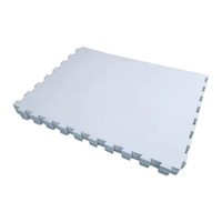 Planche à roulettes sur glace artificielle à faible friction, surface de glace artificielle portable pour cours extérieures