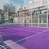 Pista de Pádel Panorámica Profesional para Exteriores, Conjunto Completo con Estructura de Acero, Vidrio Templado de 12 mm, Césped Artificial Opcional