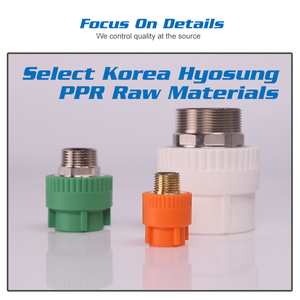 Bán buôn PPR nam ren Adaptor ổ cắm núm vú khớp nối kết nối cho phụ kiện đường ống chất lượng cao PPR nam <span class=keywords><strong>Adapter</strong></span> Ổ Cắm - Product Image 2