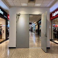Porte coupe-feu en acier ignifuge de sécurité pour supermarchés et hôpitaux, de conception architecturale moderne, sur mesure, aux dimensions standard Mexin, certifiée UL