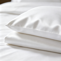 Parure de lit de luxe pour hôtel, collection de qualité supérieure, en coton blanc, avec taie d'oreiller et drap plat
