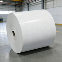 Fournisseur en gros de papier pour gobelets en rouleaux de qualité supérieure, papier blanc pour machine à fabriquer des gobelets, matériau brut, carton ivoire, carton duplex enduit de PE