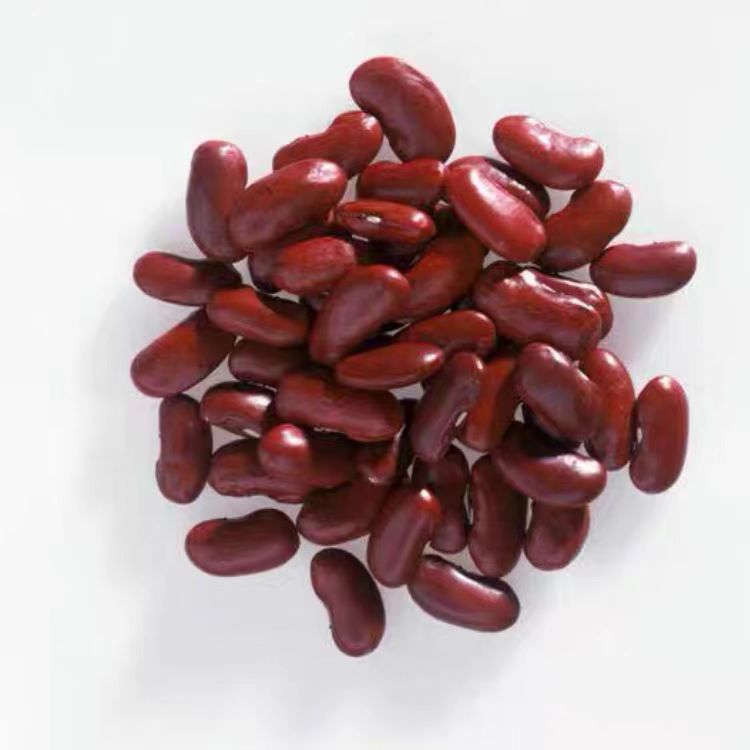 Wholesale high-quality kidney beans are organic, sweet and delicious without adding.