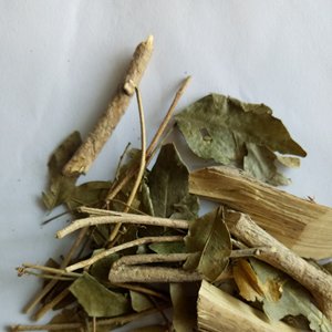 Jiu Li Xiang Kamuning Cortes secos naturales de alta calidad Hoja Et Cacumen <span class=keywords><strong>Murraya</strong></span> Dry <span class=keywords><strong>Murraya</strong></span> <span class=keywords><strong>Paniculata</strong></span> Ramita Hojas - Product Image 6