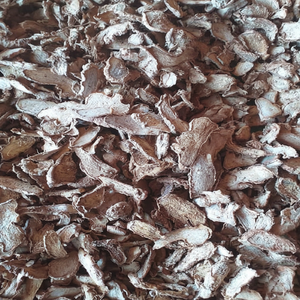 Racine de gingembre biologique de qualité supérieure gingembre frais séché en stock acheter prix de gros qualité supérieure livraison rapide usine directe - Product Image 1