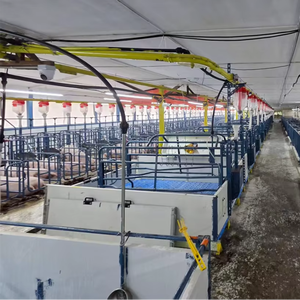 Chuồng nuôi heo nái bán chạy, thiết kế tùy chỉnh, có máng ăn, chuồng đẻ heo, thiết bị chăn nuôi heo mạ kẽm - Product Image 5