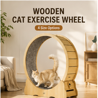 Roue d'exercice pour chat d'intérieur avec large piste de course moquettée et verrouillage manuel