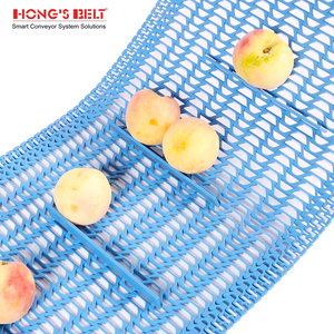Hongsbelt gıda İşleme plastik modüler konveyör bant modüler kemer konveyör zinciri - Product Image 4