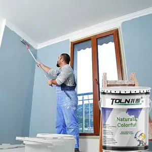 Maison Intérieur Salon Peinture Murale De Luxe Huile Toile Art Couleur Pour Murs Peinture Diluant