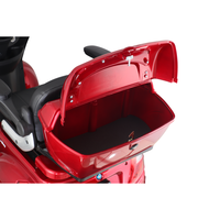 Scooter électrique à trois roues pratique et stable, 60V, batterie au plomb-acide 30AH, moteur sans balais, télécommande, capacité de charge de 150 kg - VIGOROUS