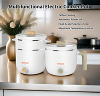 Mini-cuiseur électrique multifonction CB CE pour cuisine, dortoir étudiant, nouilles et fondue