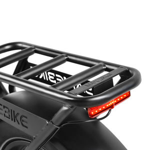 कनाडा में 20 इंच की सड़क साइकिल बर्फ ईबाइक 250 4.0 वसा टायर के साथ लोकप्रिय - Product Image 5