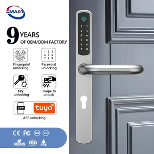Kunci pintu elektronik dengan Keypad, kunci pintu sistem masuk tanpa kunci aplikasi TTlock nirkabel elektronik