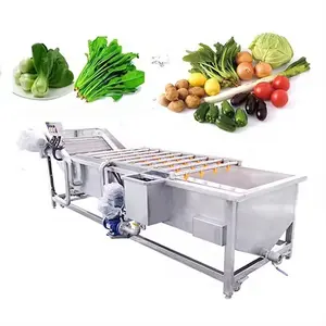 304 Stainless Steel Double Tank Bubble Ozone Vegetable Mesh Chain Washing Machine Small Fruit Washing Machine