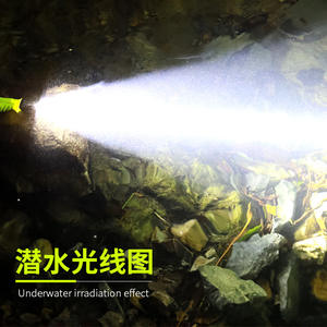 Linterna de Buceo Tru-Han QS29 Recargable con Batería 18650, Luz Dual Amarilla y Blanca, Uso Profesional en Aguas Profundas - Product Image 3