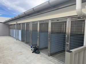 Fibra de vidrio/Galvanizado/Acero inoxidable Perrera para perros Run <span class=keywords><strong>Chenil</strong></span> Pour Chiens Hundezwinger Perrera grande para perros - Product Image 4