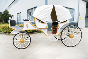 Voiturette électrique classique et sécurisée pour 4-6 passagers, idéale pour les excursions familiales et les visites de parcs - Product Image 5