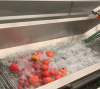 LTK Fruit- en groentewasmachine - 380V 2,5kW Grote capaciteit & eenvoudige bediening