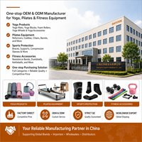 OEM ODM Logo personnalisé Poids réglables en silicone pour poignets et chevilles, Bracelet lesté portable avec noyau en fonte, Unisexe, Pilates Yoga
